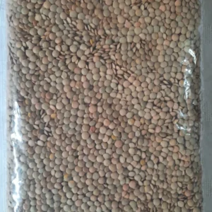 Lentejones Presentacion X 3 Kilos Primera Calidad