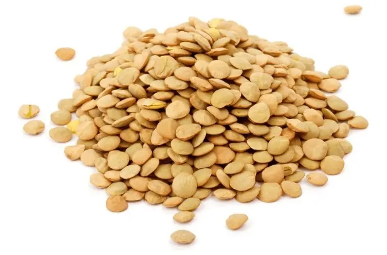 Lentejones Presentacion X 3 Kilos Primera Calidad - Imagen 2